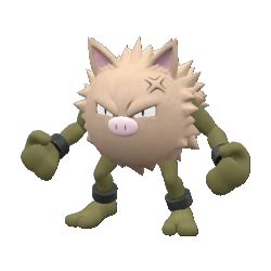 shiny primeape pokemon go|primeape serebii.